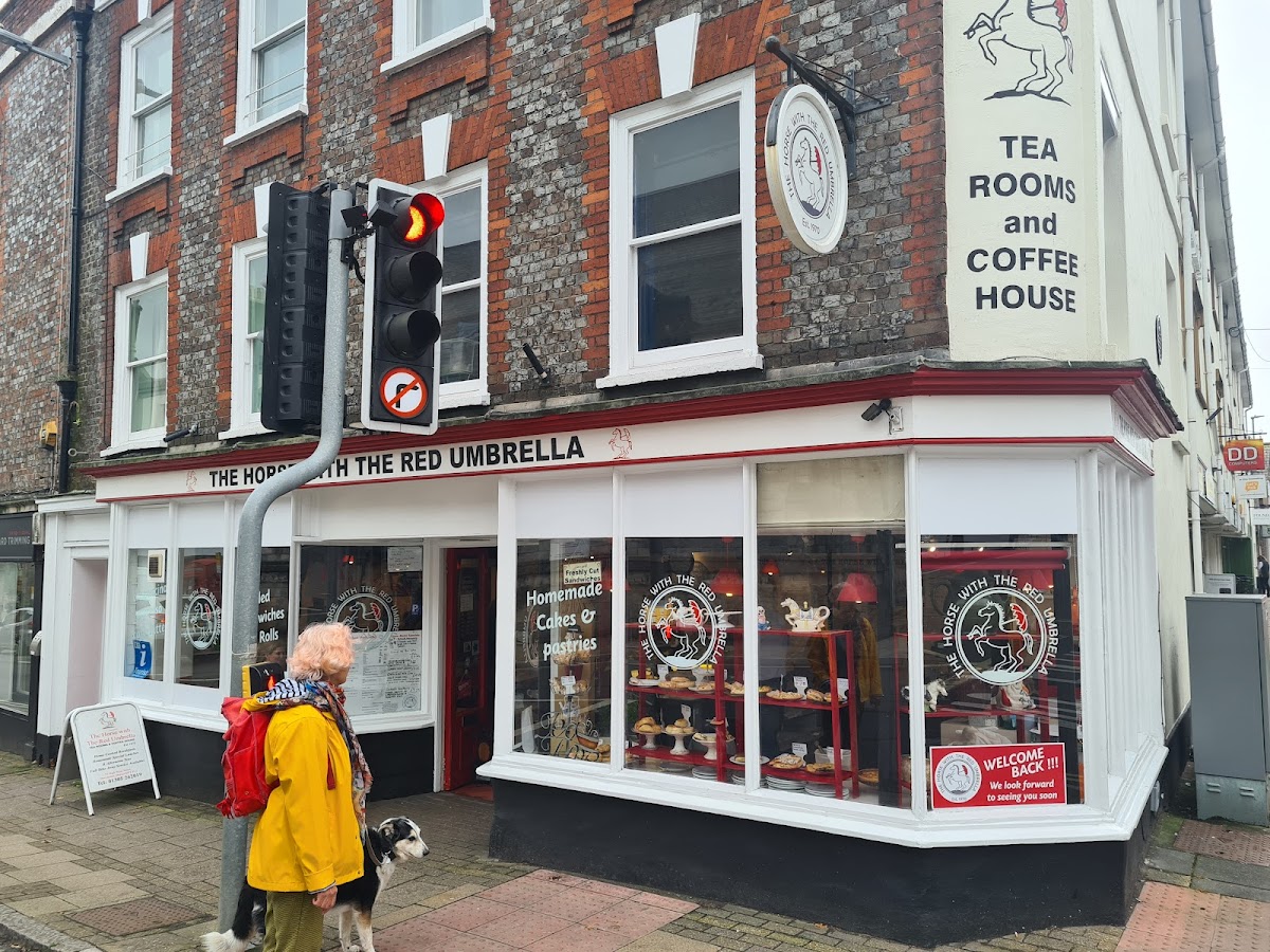 The Horse With The Red Umbrella